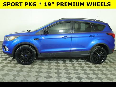 Used 2019 Ford Escape SE image 7