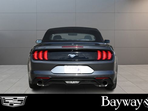 Used 2019 Ford Mustang Premium image 6