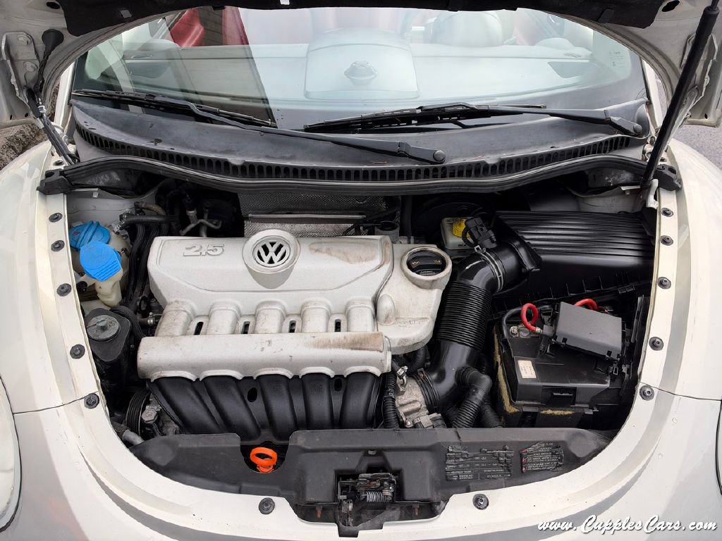 Used 2009 Volkswagen Beetle Blush FWD image 15
