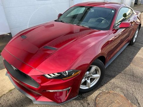 Certified 2019 Ford Mustang Coupe RWD image 1