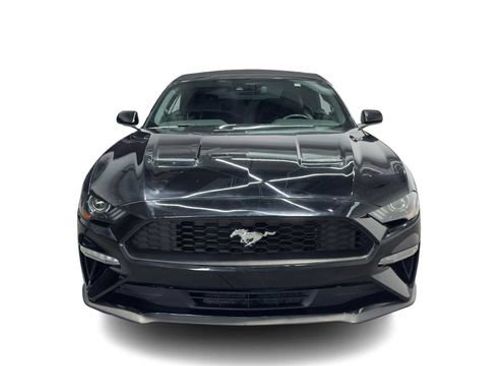 Used 2023 Ford Mustang Premium RWD image 6