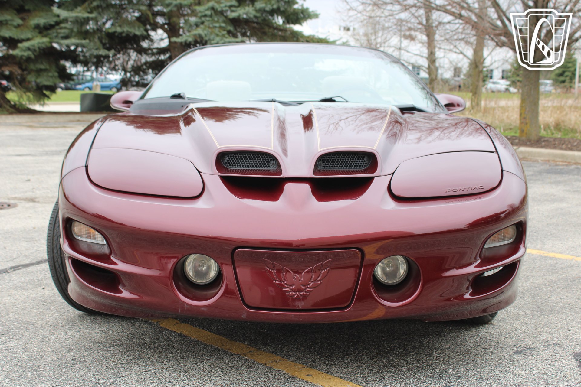 Used 2000 Pontiac Firebird Trans Am RWD image 7