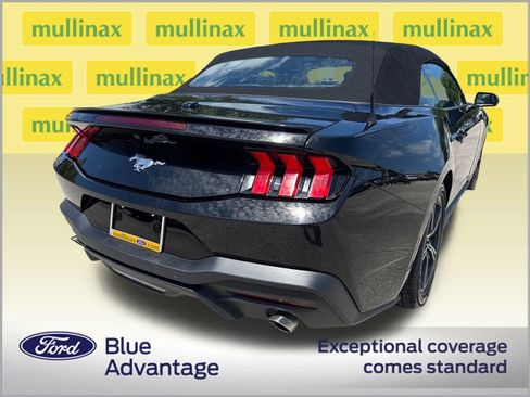 Used 2024 Ford Mustang Premium image 4