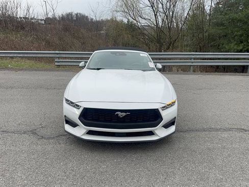 Used 2024 Ford Mustang Premium image 3