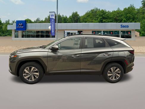 Used 2024 Hyundai Tucson Blue AWD/4WD image 2