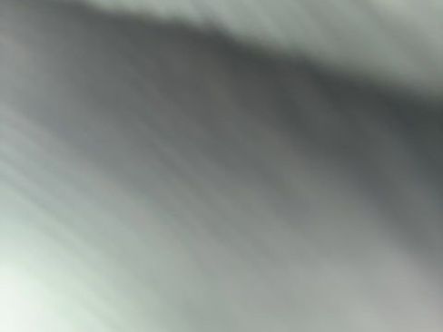 Used 2019 Ford F150 Raptor w/ Equipment Group 802A Luxury image 10