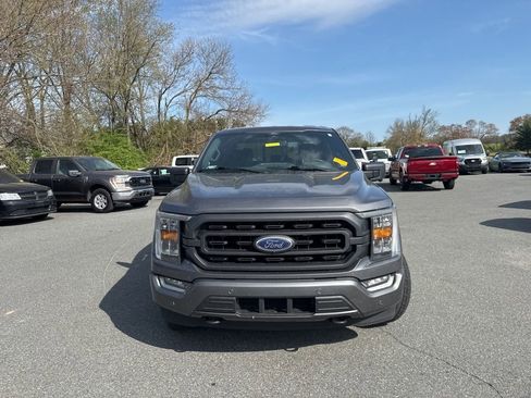 Used 2021 Ford F150 XLT w/ Equipment Group 302A High image 2