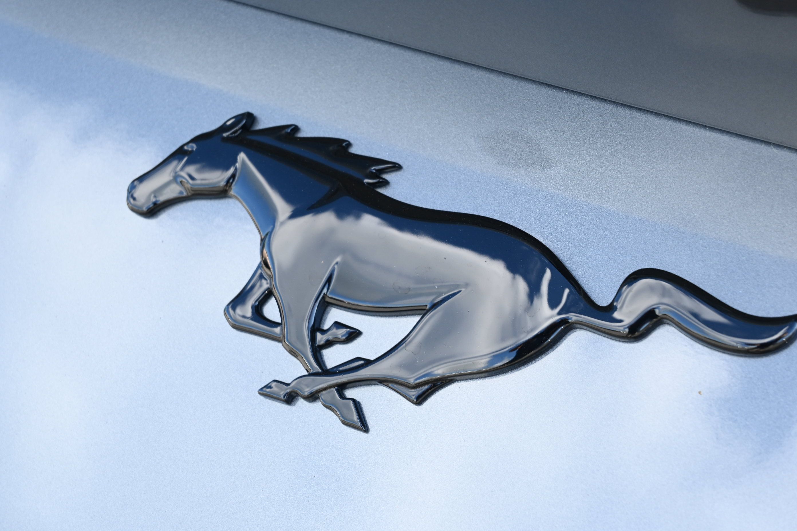 New 2026 Ford Mustang Coupe w/ Mustang Nite Pony Package RWD image 4