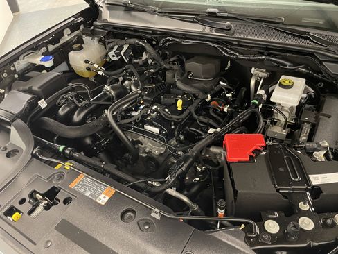 Used 2024 Ford Ranger XLT w/ Equipment Group 301A High image 31