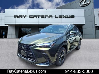 Used 2025 Lexus NX 350h AWD w/ Cold Area Package