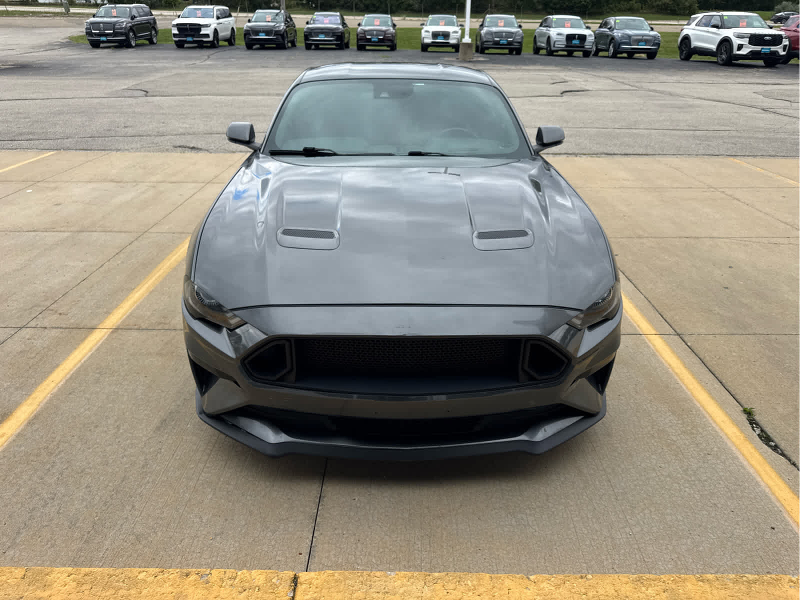 Used 2019 Ford Mustang GT Premium w/ Equipment Group 401A RWD image 6