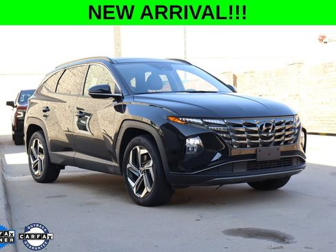 Used 2024 Hyundai Tucson Limited AWD/4WD image 1