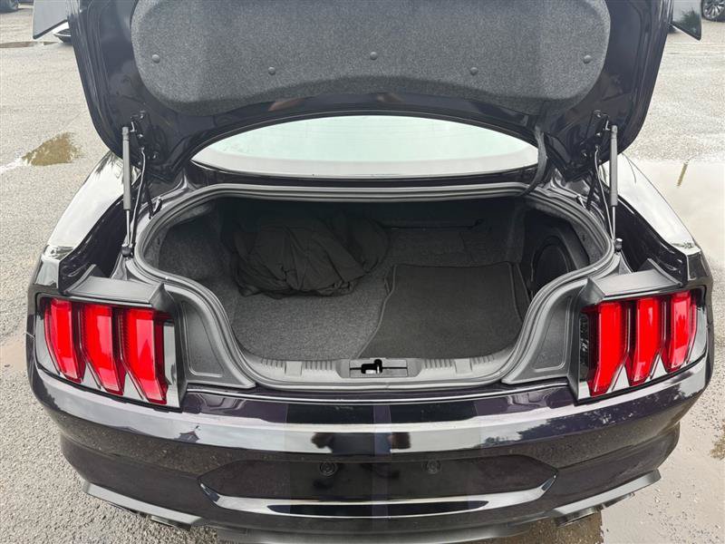 Used 2022 Ford Mustang Shelby GT500 w/ Technology Package RWD image 19