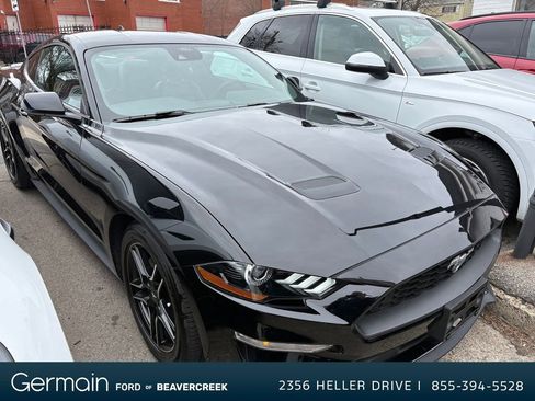 Used 2023 Ford Mustang Premium w/ Equipment Group 201A image 1