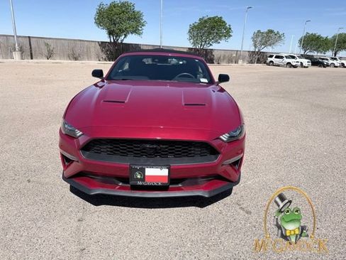 Used 2021 Ford Mustang Convertible w/ Equipment Group 101A RWD image 2