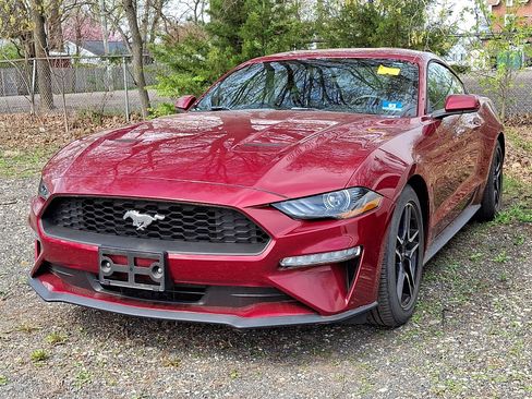 Used 2019 Ford Mustang Coupe w/ Equipment Group 101A image 3