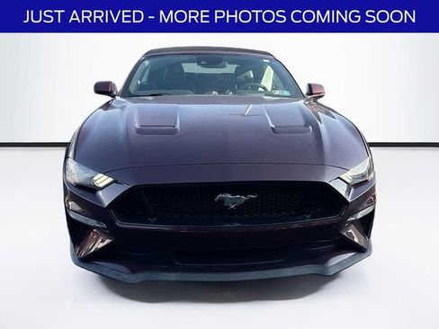 Used 2018 Ford Mustang GT Premium w/ Equipment Group 401A image 2