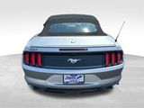 Certified 2023 Ford Mustang Premium image 4