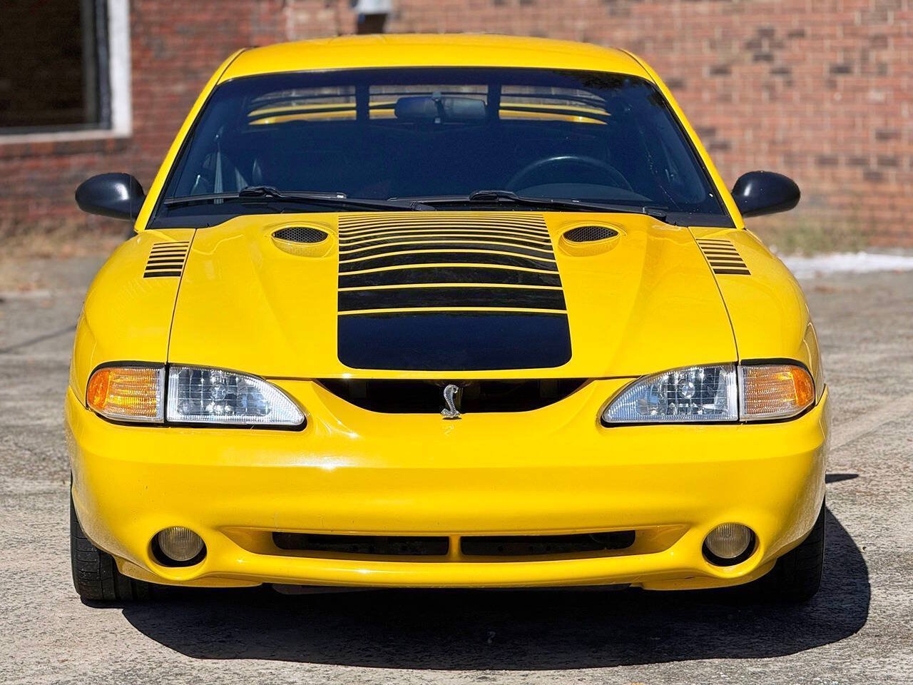 Used 1998 Ford Mustang Cobra RWD image 3