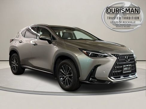 Certified 2024 Lexus NX 350 AWD w/ Cold Area Package image 1