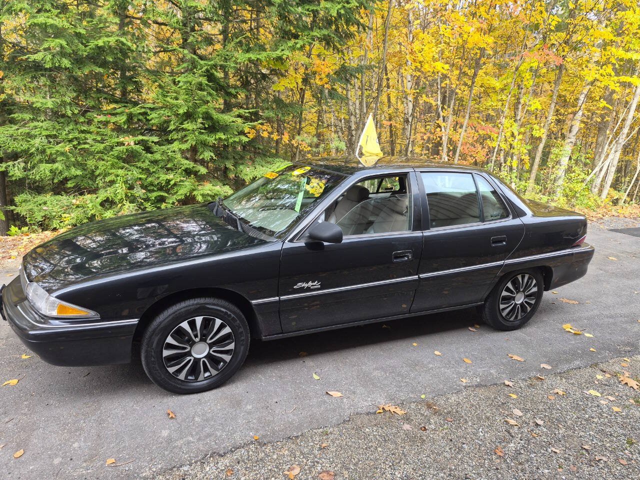 Used 1996 Buick Skylark Custom FWD image 3