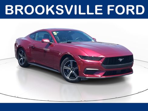 Used 2025 Ford Mustang Premium RWD image 1