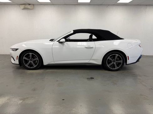 Used 2025 Ford Mustang Premium RWD image 2