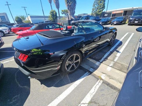 Used 2025 Ford Mustang Convertible RWD image 2