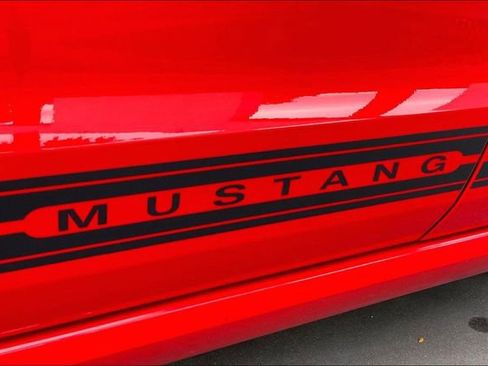 Used 2014 Ford Mustang Premium w/ Comfort Package image 8