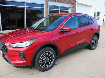 Used 2024 Ford Escape SE