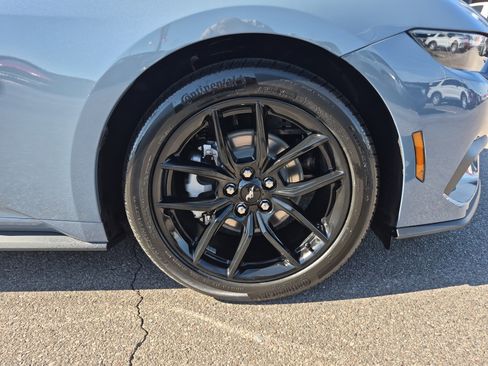 New 2026 Ford Mustang Coupe w/ Mustang Nite Pony Package image 8