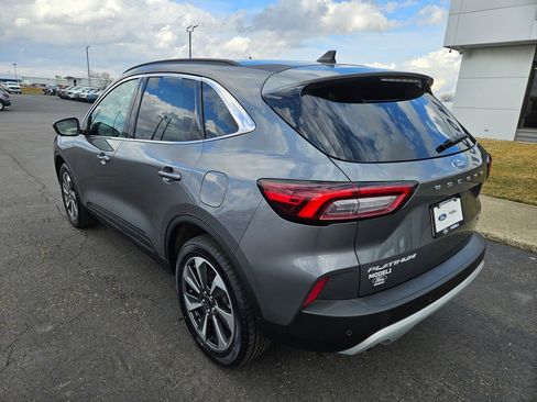 Used 2024 Ford Escape Platinum image 8