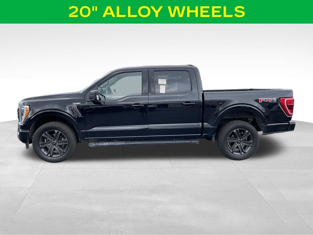Used 2023 Ford F150 XLT w/ Equipment Group 302A High AWD/4WD image 7
