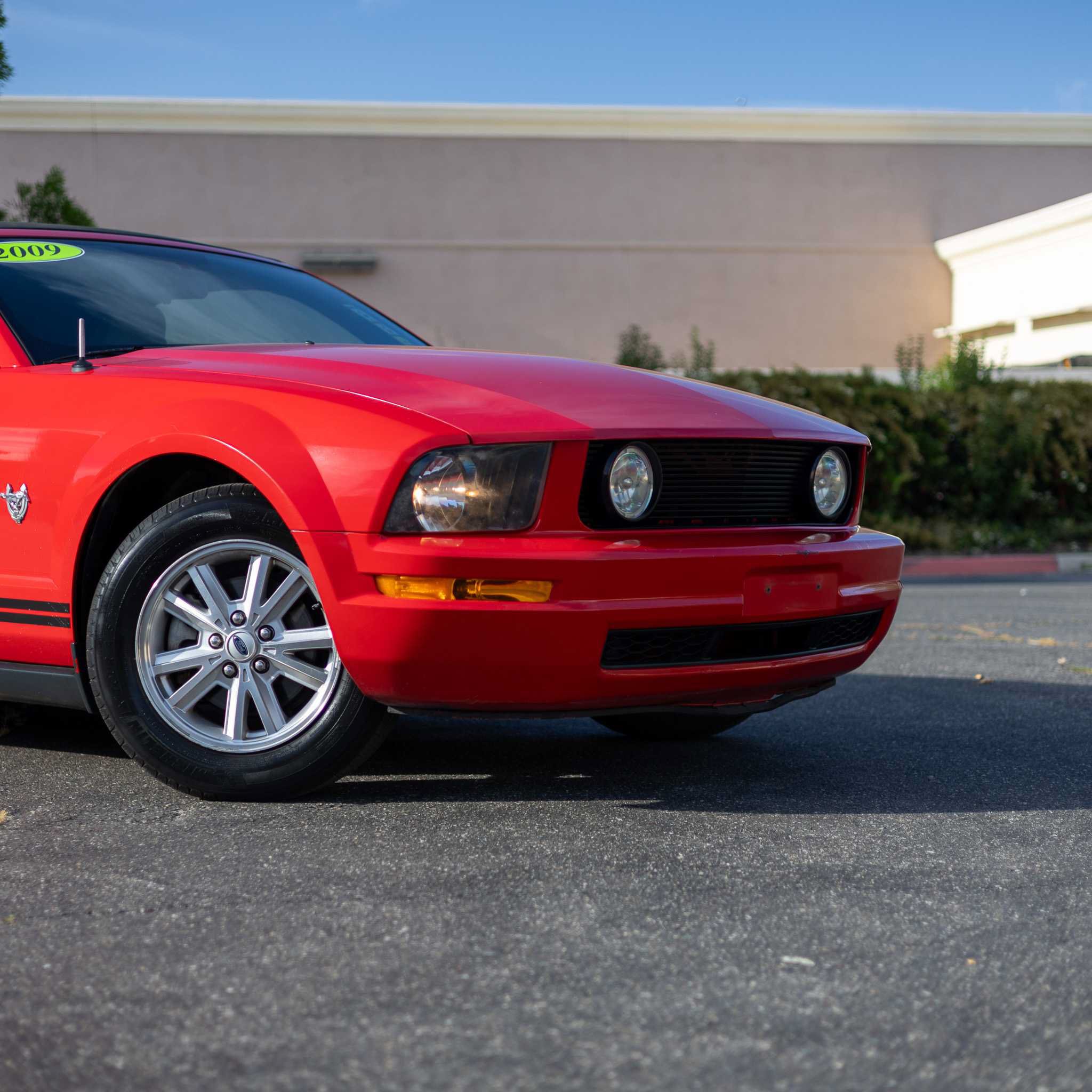 Used 2009 Ford Mustang Premium RWD image 10