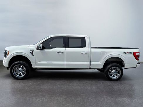 Used 2021 Ford F150 Platinum w/ Equipment Group 701A High image 2