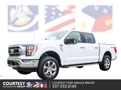 Certified 2023 Ford F150 XLT w/ Equipment Group 302A High