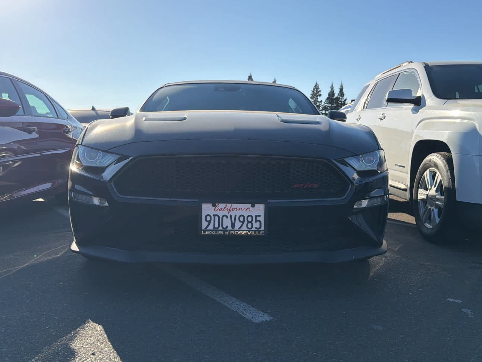 Used 2022 Ford Mustang GT Premium w/ Equipment Group 401A RWD image 6