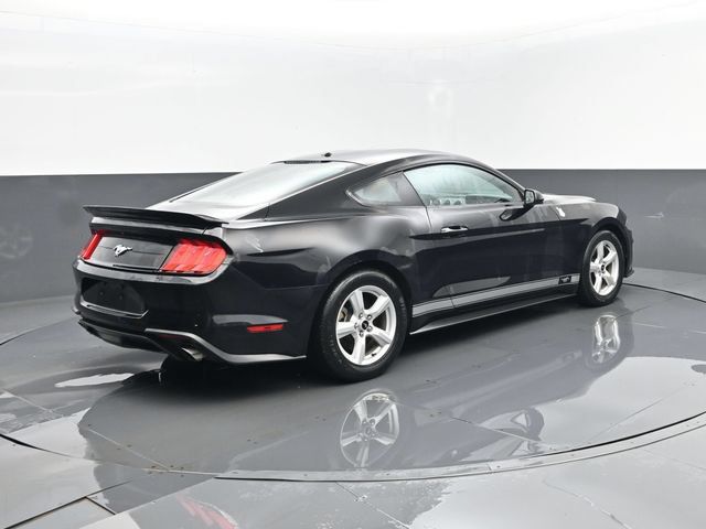 Used 2019 Ford Mustang Coupe RWD image 18