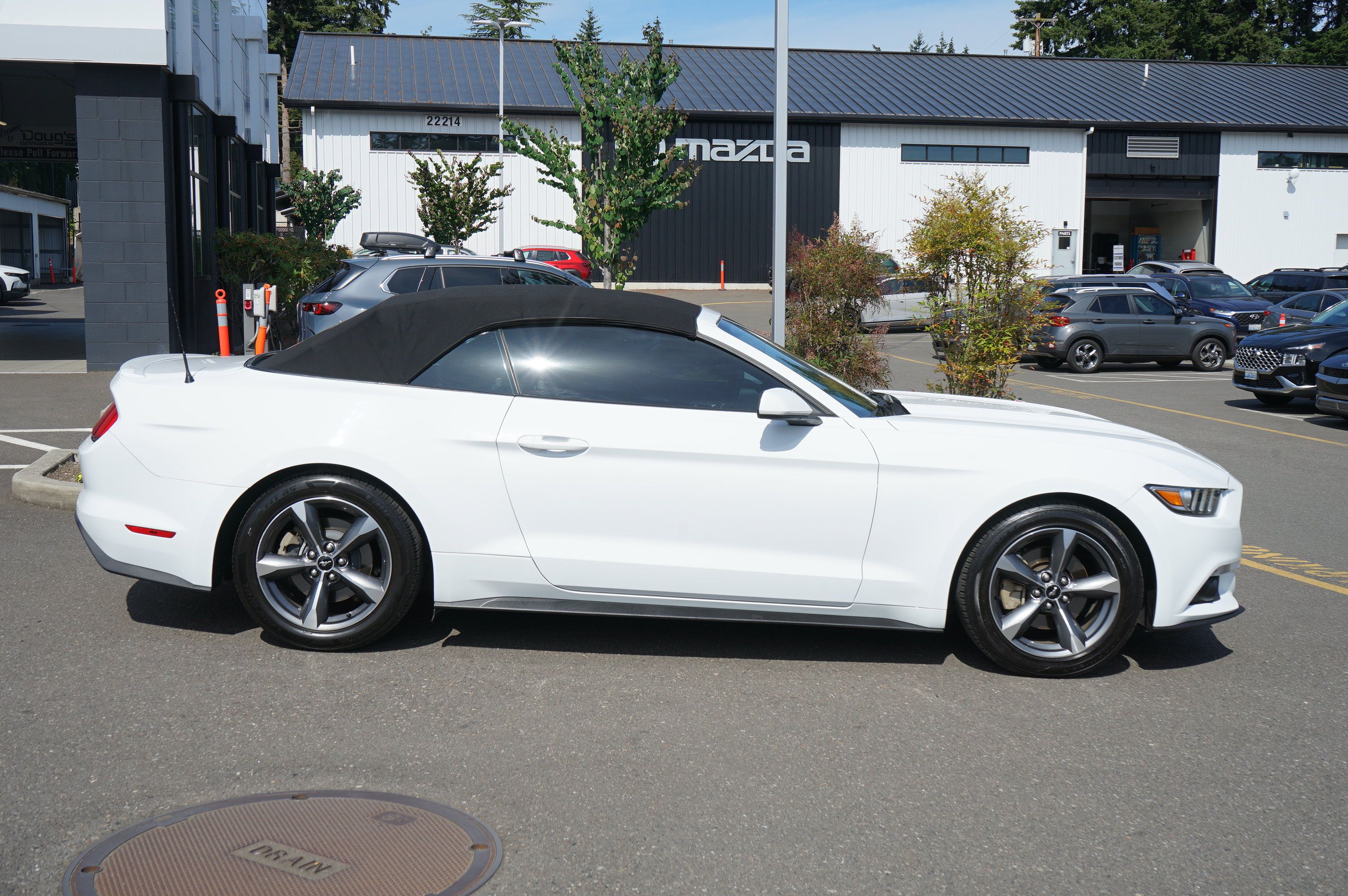 Used 2016 Ford Mustang Convertible w/ Equipment Group 051A RWD image 2