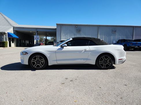 Used 2020 Ford Mustang Premium image 6