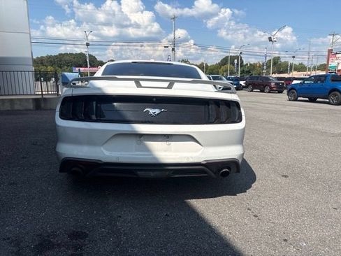 Used 2019 Ford Mustang Premium w/ Ecoboost Performance Package RWD image 3