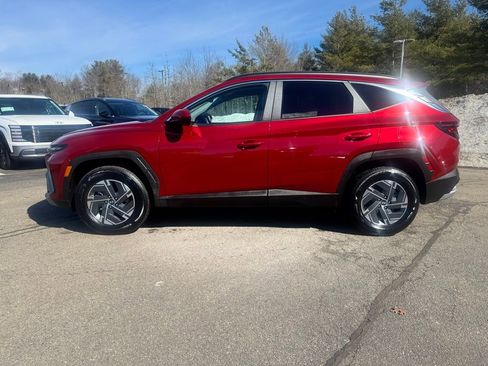 Certified 2025 Hyundai Tucson Blue image 2