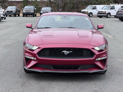 Used 2019 Ford Mustang Premium w/ Equipment Group 201A image 5