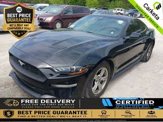 Used 2021 Ford Mustang Coupe RWD video 1