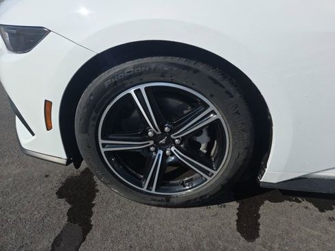 Certified 2025 Ford Mustang Premium image 12