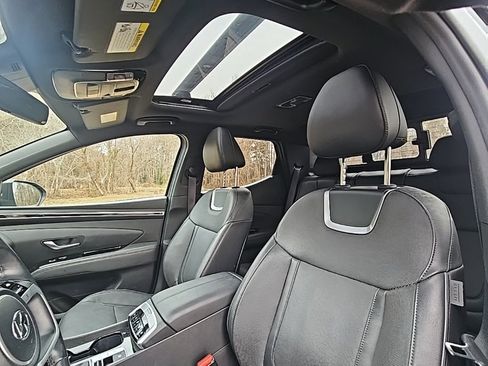 Used 2022 Hyundai Santa Cruz Limited image 10