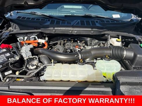Used 2025 Ford F150 XLT w/ Equipment Group 302A MID AWD/4WD image 11
