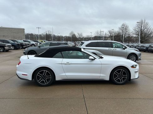 Used 2020 Ford Mustang Premium image 4