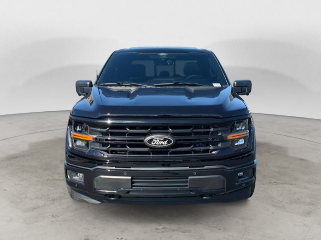 Used 2025 Ford F150 XLT w/ Equipment Group 303A High AWD/4WD image 2