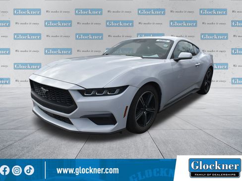 Used 2024 Ford Mustang Premium image 1